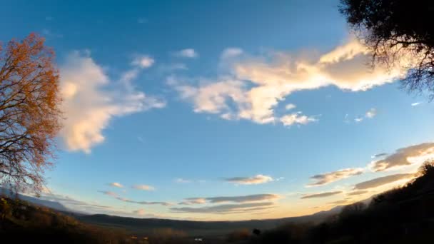 Nubes Moviéndose Cielo Atardecer Dos Árboles Cada Lado — Vídeo de stock