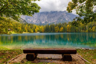 Ormandaki temiz dağ gölü, gün ışığında köknar ağaçlarının arasında. Güzel turkuaz göllü parlak manzara karlı dağların arka planında, dağların yansıması, İtalya