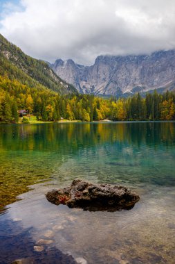 Ormandaki temiz dağ gölü, gün ışığında köknar ağaçlarının arasında. Güzel turkuaz göllü parlak manzara karlı dağların arka planında, dağların yansıması, İtalya
