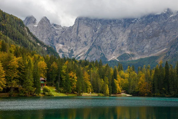 Ormandaki temiz dağ gölü, gün ışığında köknar ağaçlarının arasında. Güzel turkuaz göllü parlak manzara karlı dağların arka planında, dağların yansıması, İtalya