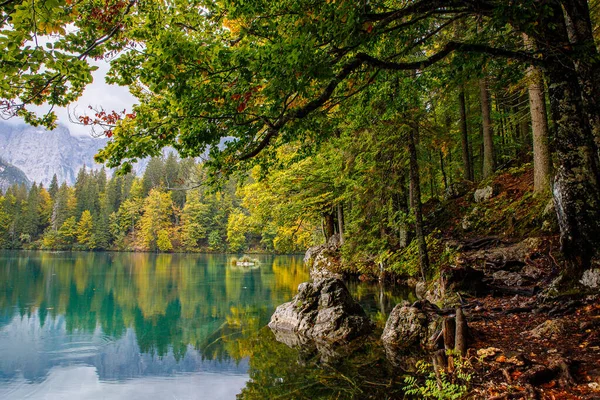Ormandaki temiz dağ gölü, gün ışığında köknar ağaçlarının arasında. Güzel turkuaz göllü parlak manzara karlı dağların arka planında, dağların yansıması, İtalya