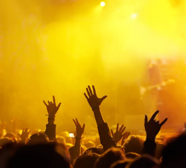 Its all about the fans. Shot of fans enjoying an outdoor music festival. — Stock Photo, Image