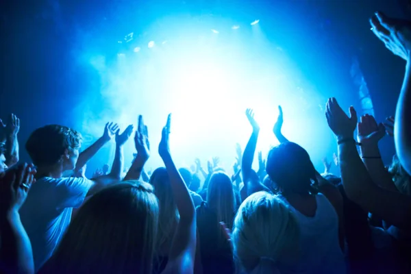 Adoring fans. Rear view of a crowd dancing at a music concert- This concert was created for the sole purpose of this photo shoot, featuring 300 models and 3 live bands. All people in this shoot are — Stock Photo, Image