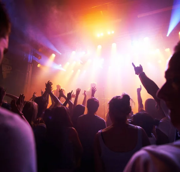 Rocking out. Rear view of a crowd cheering at a concert- This concert was created for the sole purpose of this photo shoot, featuring 300 models and 3 live bands. All people in this shoot are model — Stock Photo, Image