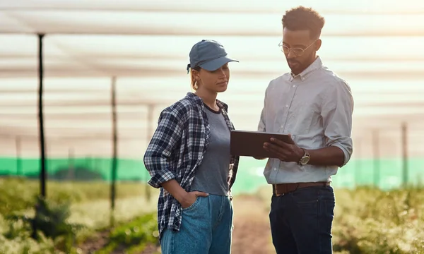 Ik volg hun groei. Gehakte foto van twee jonge boeren die naar een tablet kijken terwijl ze op hun boerderij werken. — Stockfoto