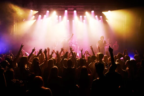 Feeling the concert vibe. Rear-view of a cheering crowd at a music concert- This concert was created for the sole purpose of this photo shoot, featuring 300 models and 3 live bands. All people in this — Stock Photo, Image