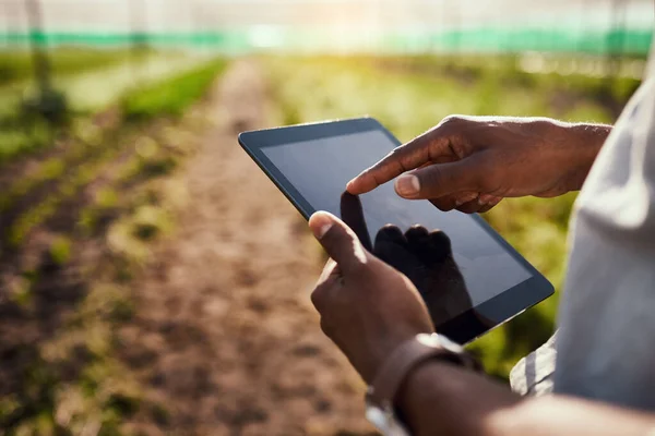 De boerderij binnen handbereik. Gehakt van een onherkenbare mannelijke landbouwer die een tablet gebruikt terwijl hij op zijn boerderij werkt. — Stockfoto