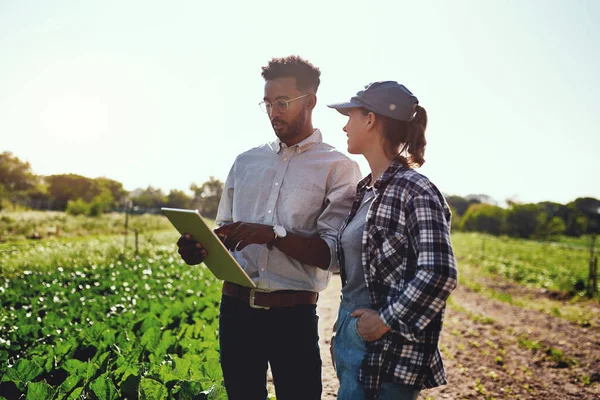 Onze groei is fenomenaal. Gehakte foto van twee jonge boeren die naar een tablet kijken terwijl ze op hun boerderij werken. — Stockfoto