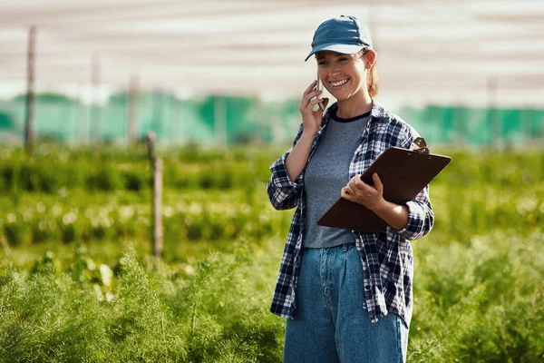 Dat advies dat je me gaf heeft zijn vruchten afgeworpen. — Stockfoto