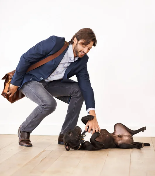 Has sido un buen chico. Un hombre de negocios guapo saludando a su perro juguetón con un masaje en el vientre. — Foto de Stock
