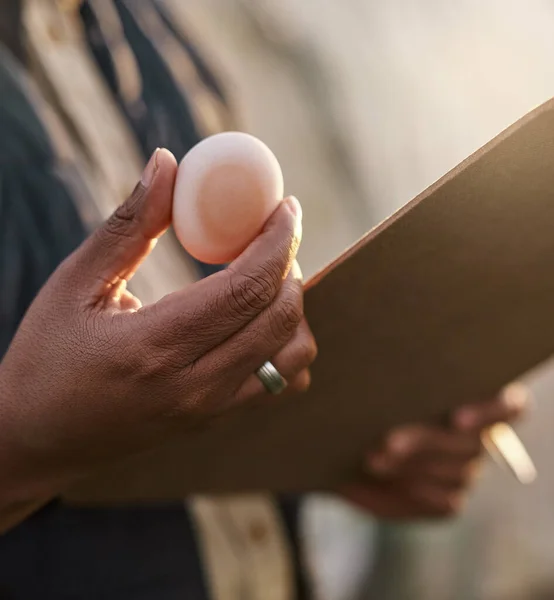 Olyan friss, mint a tojás. Lelőttek egy felismerhetetlen gazdálkodót, aki a tojások minőségét vizsgálta a gazdaságában.. — Stock Fotó