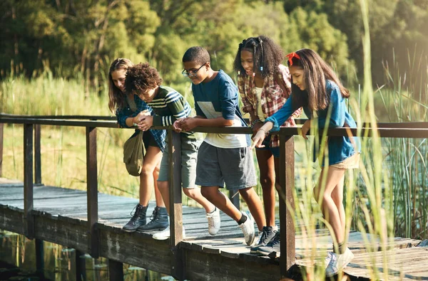 A natureza é a nova sala de aula. Tiro de um grupo de adolescentes em pé em uma ponte na natureza no acampamento de verão. — Fotografia de Stock