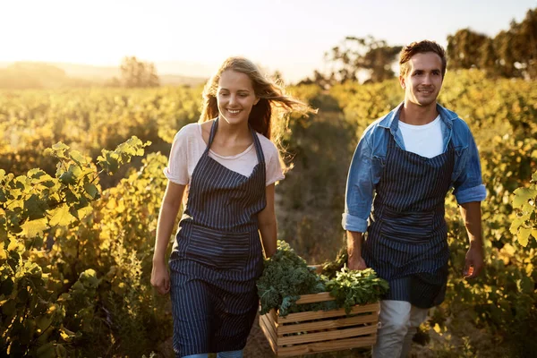 Were contributing to the sustainability of our planet — Stock Photo, Image