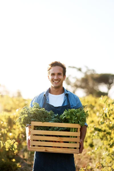 Yemeğinizin nereden geldiğini bilin. Genç bir adamın elinde bir sandık dolusu taze toplanmış ürünle bir çiftlikte çekilmiş fotoğrafı.. — Stok fotoğraf