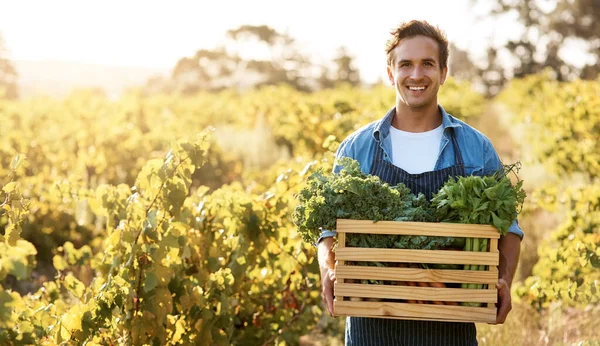 Farming is much more than what meets the eye Royalty Free Stock Photos