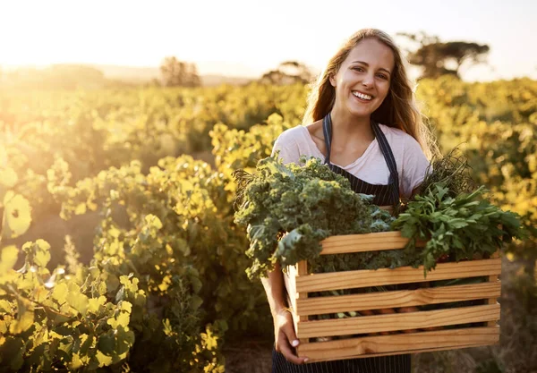 Vypěstujte si jídlo organicky. Postřelen mladou ženou držící bednu plnou čerstvě sklizených produktů na farmě. — Stock fotografie