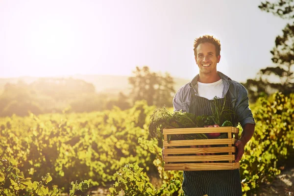 This harvest was a great one. Shot of a young man holding a crate full of freshly picked produce on a farm. — Stock Photo, Image