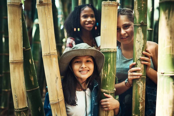 Bize sadece orman savaşçıları deyin. Bir grup genç kızın yaz kampında doğayı keşfederken çekilmiş.. — Stok fotoğraf