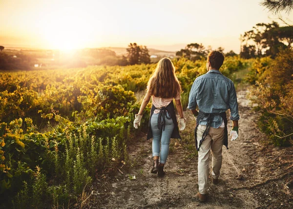 E 'stata una stagione fantastica. Retrovisore di un giovane uomo e una donna che camminano in una fattoria. — Foto Stock