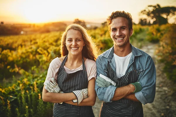 Gli esperti di agricoltura. Ritratto di un giovane uomo e una donna fiduciosi che lavorano insieme in una fattoria. — Foto Stock