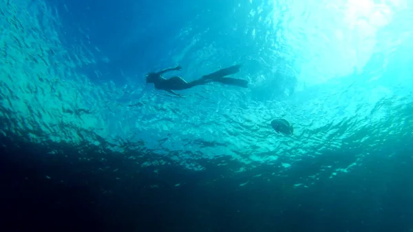 A expandir os meus horizontes. Filmagem em vídeo 4k de uma jovem atraente snorkel sozinho nos recifes de coral de Raja Ampat, na Indonésia. — Fotografia de Stock