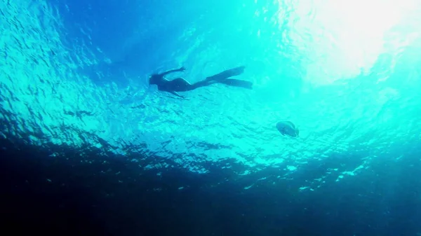 Yeni bir arkadaş edindim. Endonezya 'daki Raja Ampat' ın mercan kayalıklarında tek başına şnorkelle yüzen çekici genç bir kadının 4k video görüntüsü.. — Stok fotoğraf