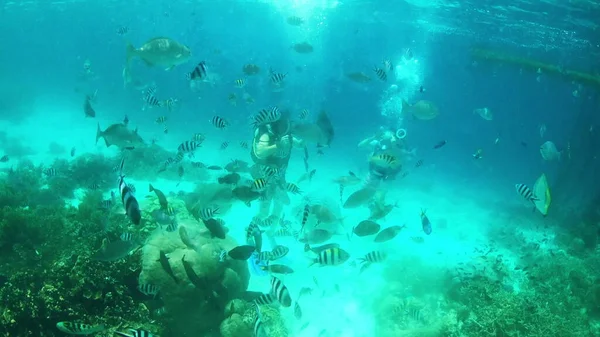 在水深的地方潜水。印度尼西亚Raja Ampat珊瑚礁一带两名年轻英俊男子潜水的4k录像. — 图库照片