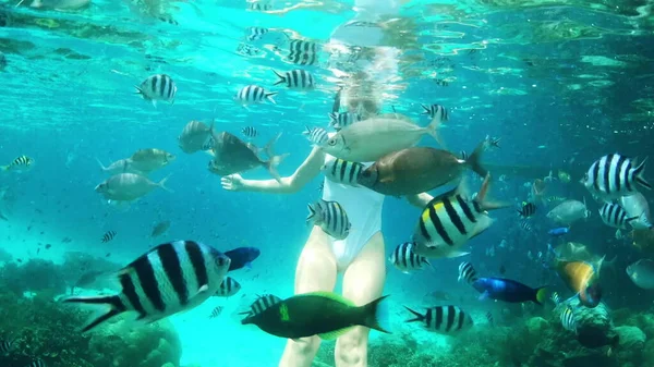 O snorkel é a minha terapia. Filmagem em vídeo 4k de uma jovem atraente snorkel em recifes de coral Raja Ampats enquanto peixes nadam ao redor dela. — Fotografia de Stock