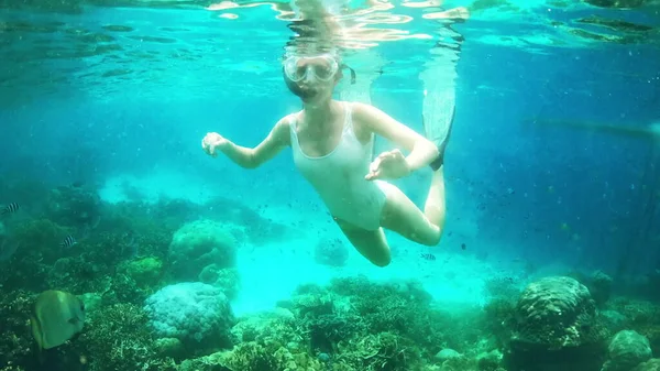 Bak sen şuna. Raja Ampats mercan kayalıklarında şnorkelle yüzen çekici genç bir kadının 4K video görüntüleri. Balıklar etrafında yüzerken.. — Stok fotoğraf