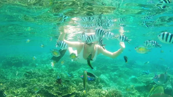 Ben dalmak için doğmuşum. Raja Ampats mercan kayalıklarında şnorkelle yüzen çekici genç bir kadının 4K video görüntüleri. Balıklar etrafında yüzerken.. — Stok fotoğraf