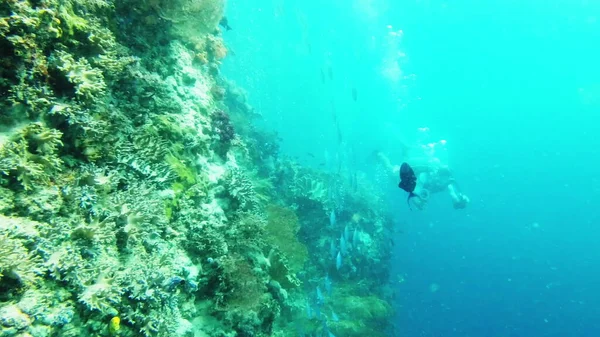 Az óceán tele van lélegzetelállító kilátással. — Stock Fotó