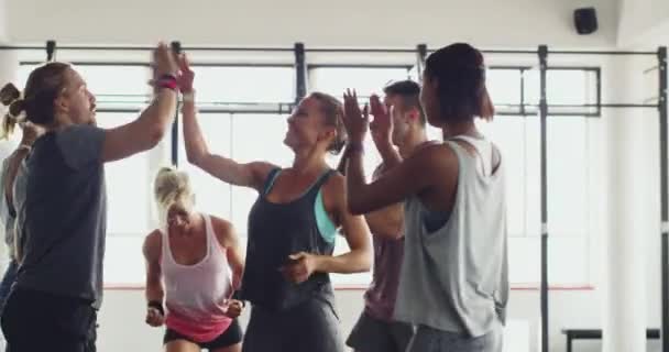 Comparten los mismos objetivos de fitness. 4k video de un grupo de personas celebrando después de un entrenamiento en el gimnasio. — Vídeo de stock