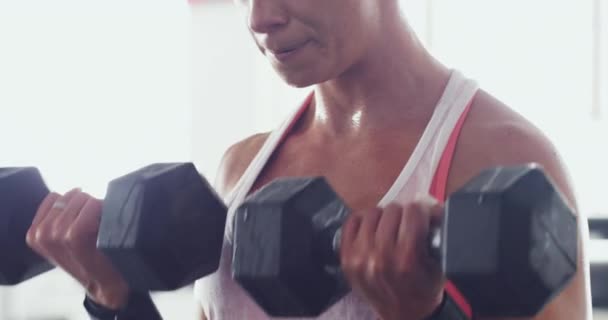 Results start with having discipline. 4k video of a sporty young woman lifting weights at the gym. — Stock Video