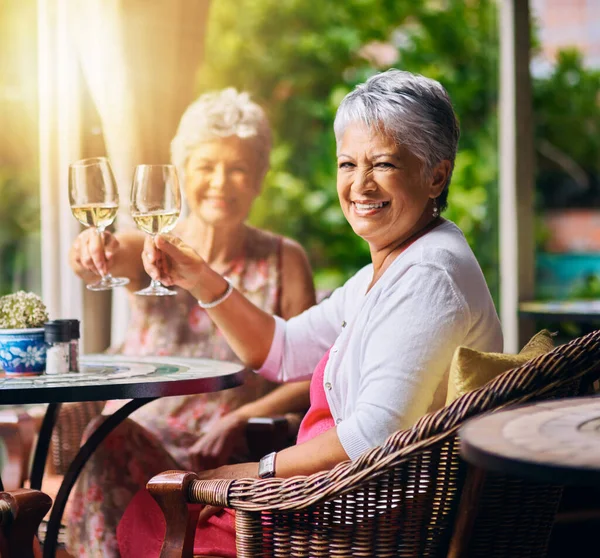 Heres kepada lebih banyak lagi. Potret dipotong dari dua senior teman perempuan bersulang selama kencan makan siang. — Stok Foto