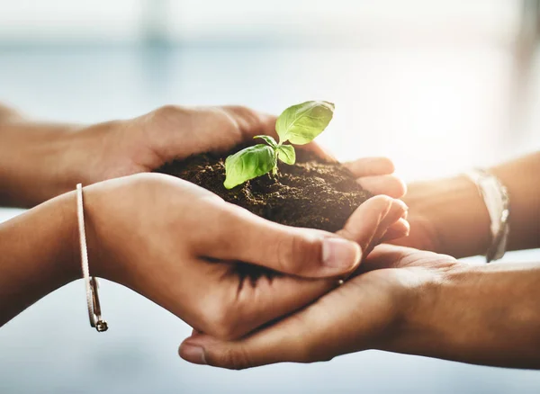Vamos crescer juntos. Tiro de perto de dois empresários irreconhecíveis segurando uma planta que cresce fora do solo. — Fotografia de Stock