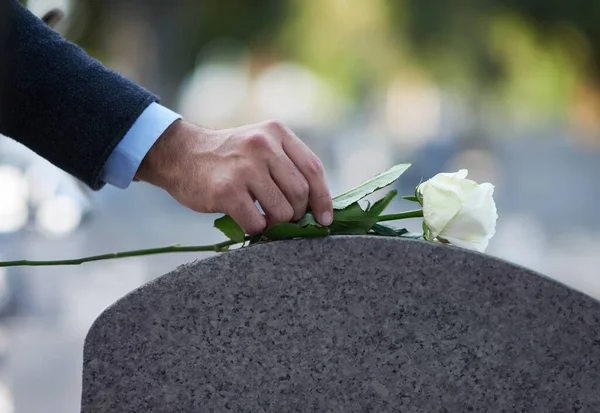 A prestar os seus respeitos. Tiro cortado de um homem colocando uma rosa branca em uma sepultura. — Fotografia de Stock