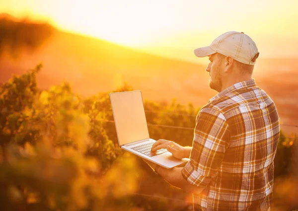 酿酒师喜欢无线网络。一个年轻农民站在葡萄园里用笔记本电脑拍摄的后视镜照片. — 图库照片