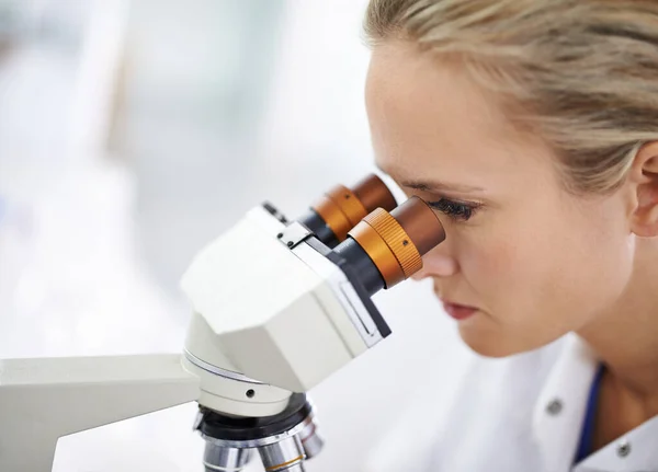 Descubra um novo mundo. Tiro de uma mulher bonita em um laboratório que trabalha com um microscópio. — Fotografia de Stock