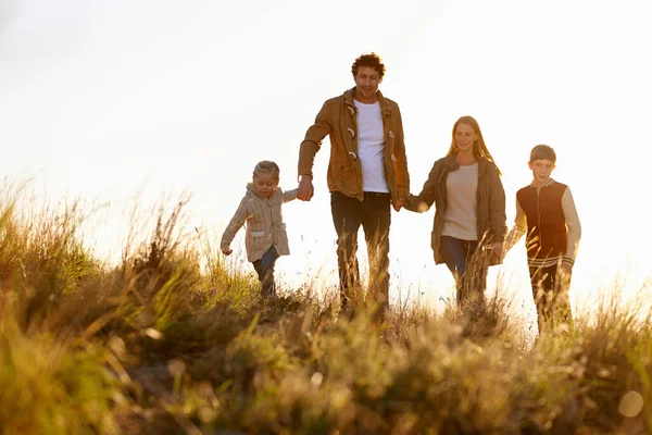 På fält av guld. Skjuten av en lycklig familj ute på en morgonpromenad tillsammans. — Stockfoto