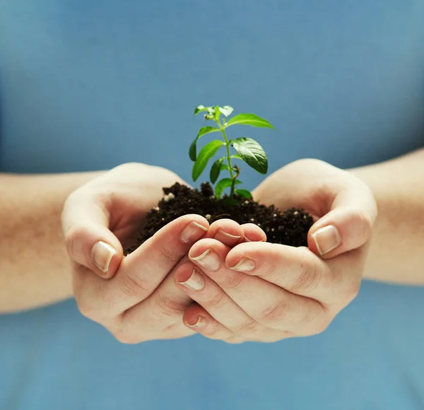 Mantenha a terra limpa e verde. Tiro de mãos segurando uma planta crescendo fora do solo. — Fotografia de Stock