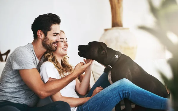 Él trae alegría y risa a nuestras vidas. Shot de una pareja y su mascota relajándose en casa. — Foto de Stock