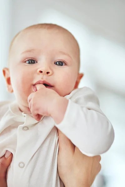 Is this what they call finger food. Cropped shot of a baby boy being held by his parent at home. — Stock Photo, Image