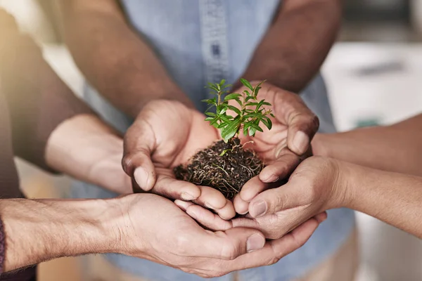 Engagés à faire prospérer leur nouvelle entreprise. Plan recadré d'un groupe de personnes tenant une plante poussant dans le sol. — Photo