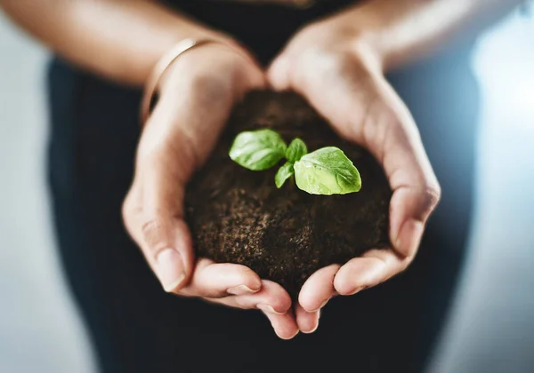 Tome cuidado para desenvolver seus sonhos. Foto de perto de uma empresária irreconhecível segurando uma planta crescendo do solo. — Fotografia de Stock