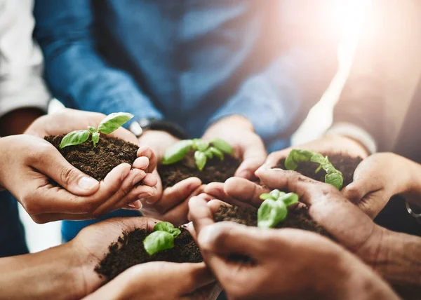 Erőről erőre növekszik. Szoros kép egy felismerhetetlen csoport üzletemberről, akik talajból növő növényeket tartanak.. — Stock Fotó