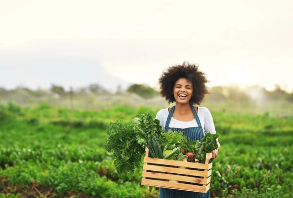 La madre naturaleza provee. Retrato recortado de una joven agricultora atractiva que lleva una caja de productos frescos. — Foto de Stock