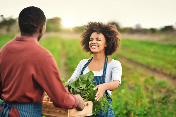 Hier geht 's lang. Schnappschuss einer attraktiven jungen Bäuerin, die ihrem Mann eine Kiste mit frischen Produkten reicht. — Stockfoto