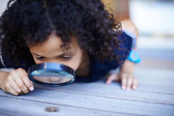 Hes a curious kid. Cropped shot of a cute little boy inspecting an insect with a magnifying glass. — Stock Photo, Image