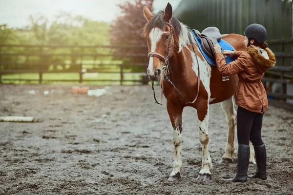 Je me baladais. Prise de vue d'une adolescente se préparant à monter son poney sur une ferme. — Photo