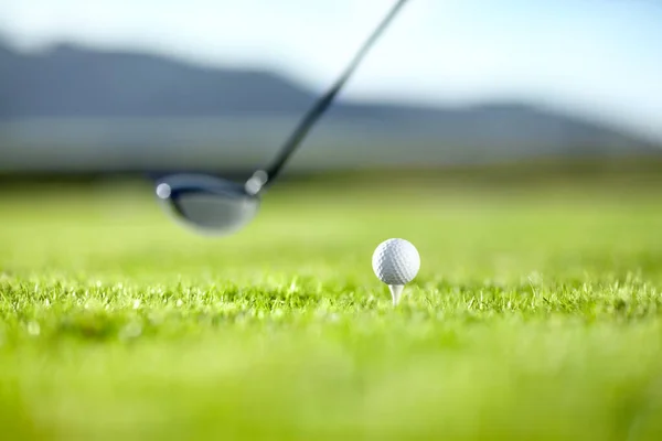 A cronometrar a cena. Um taco de golfe pronto para jogar com uma bola branca num campo de golfe. — Fotografia de Stock
